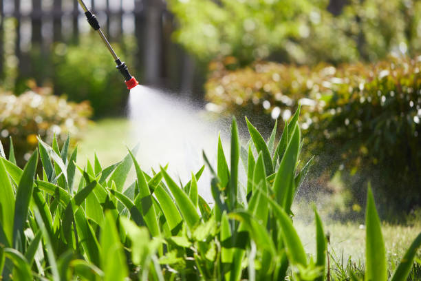 24/7 Emergency Mosquito Control experts in Germantown, TN